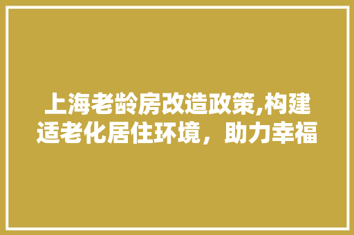 上海老龄房改造政策,构建适老化居住环境，助力幸福晚年