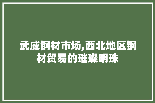 武威钢材市场,西北地区钢材贸易的璀璨明珠