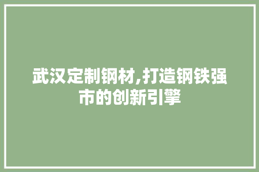 武汉定制钢材,打造钢铁强市的创新引擎
