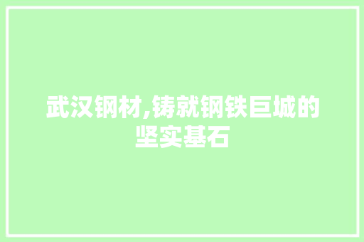 武汉钢材,铸就钢铁巨城的坚实基石