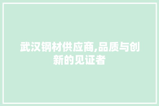 武汉钢材供应商,品质与创新的见证者