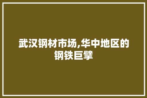 武汉钢材市场,华中地区的钢铁巨擘