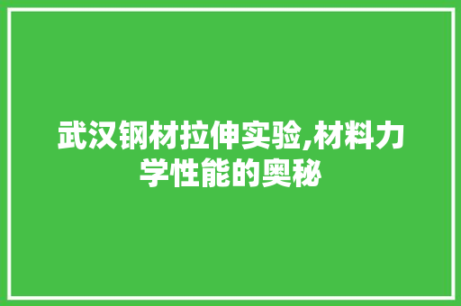 武汉钢材拉伸实验,材料力学性能的奥秘