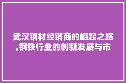 武汉钢材经销商的崛起之路,钢铁行业的创新发展与市场洞察