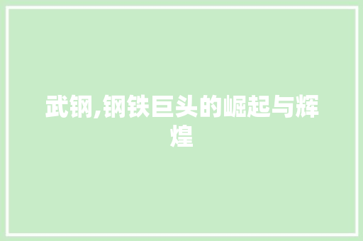武钢,钢铁巨头的崛起与辉煌