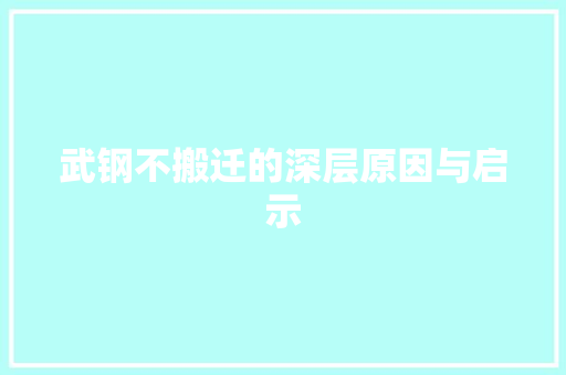 武钢不搬迁的深层原因与启示