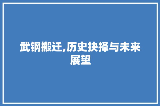 武钢搬迁,历史抉择与未来展望