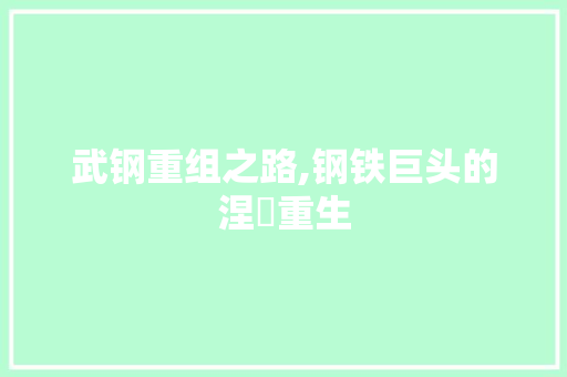 武钢重组之路,钢铁巨头的涅槃重生