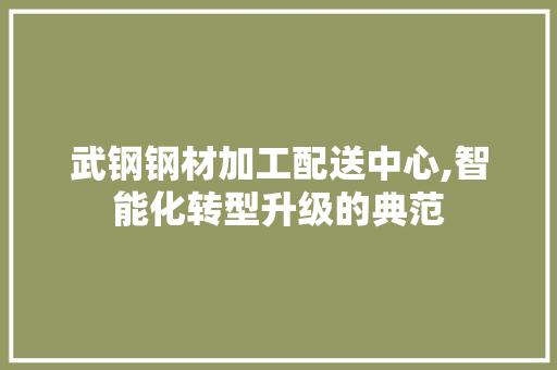 武钢钢材加工配送中心,智能化转型升级的典范