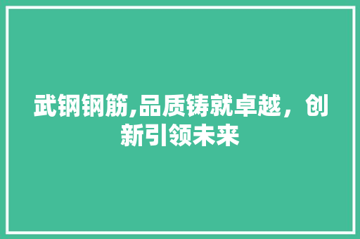 武钢钢筋,品质铸就卓越，创新引领未来