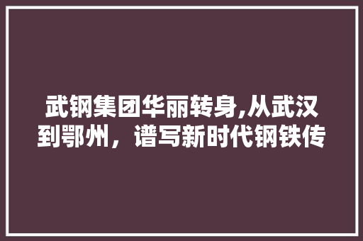 武钢集团华丽转身,从武汉到鄂州，谱写新时代钢铁传奇