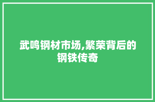 武鸣钢材市场,繁荣背后的钢铁传奇