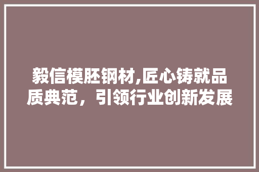 毅信模胚钢材,匠心铸就品质典范，引领行业创新发展