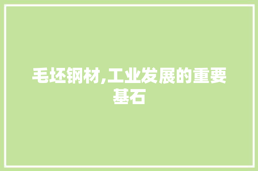 毛坯钢材,工业发展的重要基石
