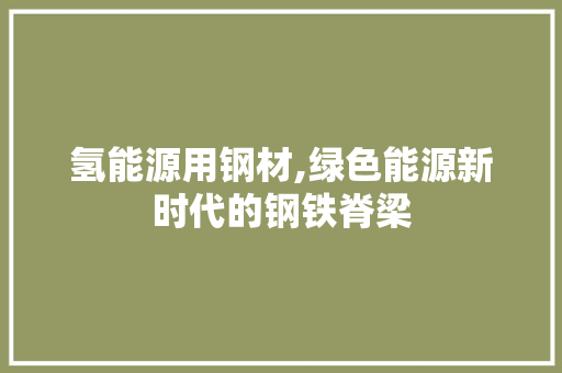 氢能源用钢材,绿色能源新时代的钢铁脊梁