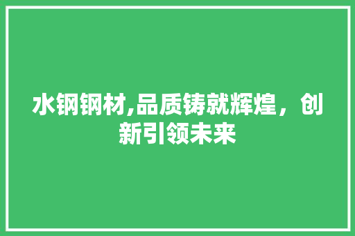 水钢钢材,品质铸就辉煌，创新引领未来