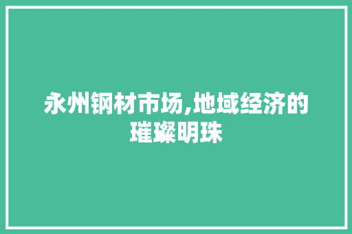 永州钢材市场,地域经济的璀璨明珠