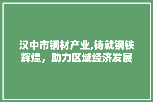 汉中市钢材产业,铸就钢铁辉煌，助力区域经济发展