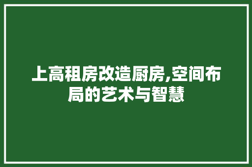 上高租房改造厨房,空间布局的艺术与智慧
