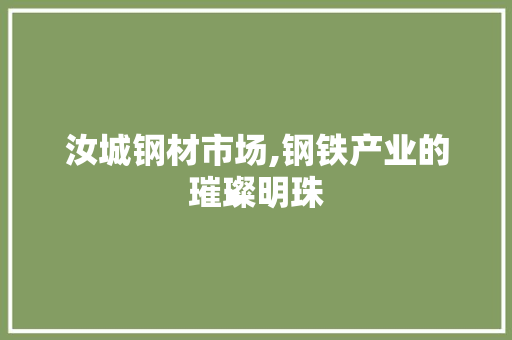汝城钢材市场,钢铁产业的璀璨明珠