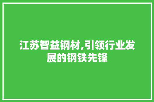 江苏智益钢材,引领行业发展的钢铁先锋