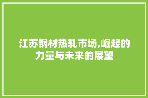 江苏钢材热轧市场,崛起的力量与未来的展望