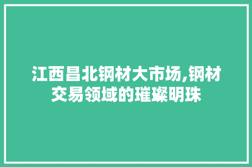 江西昌北钢材大市场,钢材交易领域的璀璨明珠