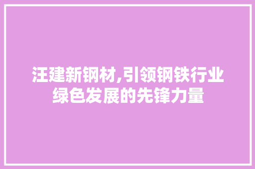 汪建新钢材,引领钢铁行业绿色发展的先锋力量
