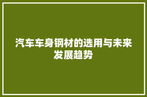 汽车车身钢材的选用与未来发展趋势