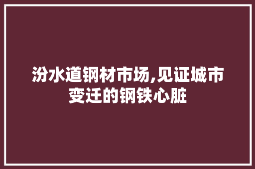汾水道钢材市场,见证城市变迁的钢铁心脏