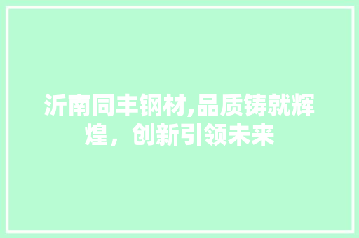 沂南同丰钢材,品质铸就辉煌，创新引领未来