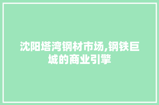 沈阳塔湾钢材市场,钢铁巨城的商业引擎