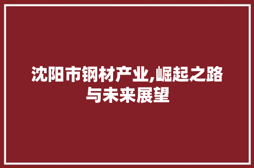 沈阳市钢材产业,崛起之路与未来展望