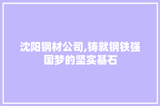 沈阳钢材公司,铸就钢铁强国梦的坚实基石