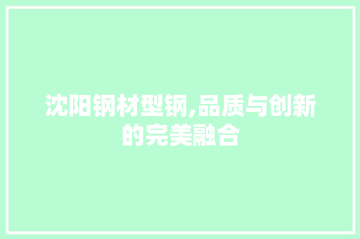 沈阳钢材型钢,品质与创新的完美融合