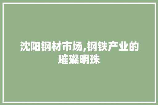 沈阳钢材市场,钢铁产业的璀璨明珠