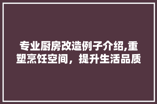 专业厨房改造例子介绍,重塑烹饪空间，提升生活品质