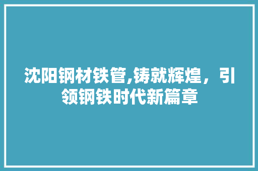 沈阳钢材铁管,铸就辉煌，引领钢铁时代新篇章