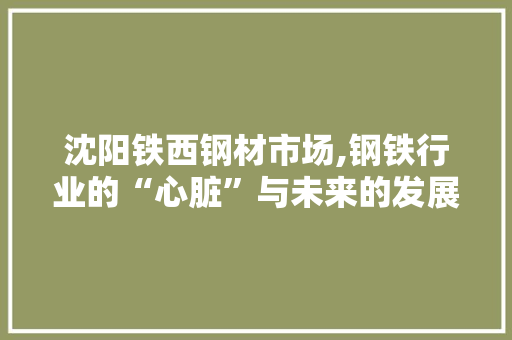 沈阳铁西钢材市场,钢铁行业的“心脏”与未来的发展方向