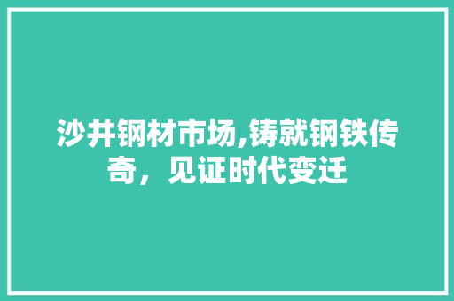沙井钢材市场,铸就钢铁传奇，见证时代变迁