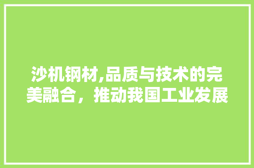 沙机钢材,品质与技术的完美融合，推动我国工业发展新篇章