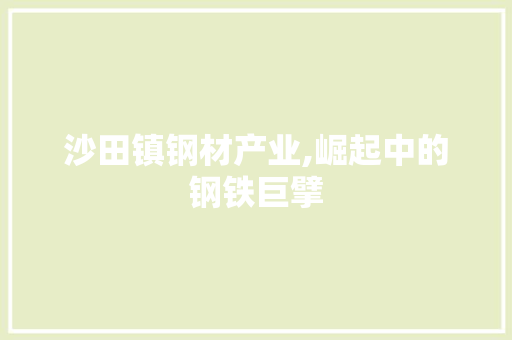 沙田镇钢材产业,崛起中的钢铁巨擘