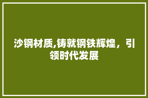 沙钢材质,铸就钢铁辉煌，引领时代发展