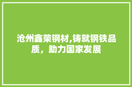 沧州鑫荣钢材,铸就钢铁品质，助力国家发展