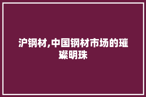 沪钢材,中国钢材市场的璀璨明珠