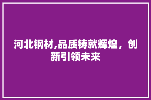 河北钢材,品质铸就辉煌，创新引领未来