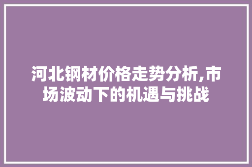 河北钢材价格走势分析,市场波动下的机遇与挑战