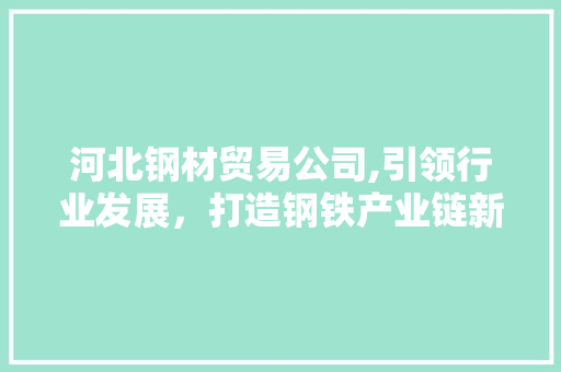 河北钢材贸易公司,引领行业发展，打造钢铁产业链新生态