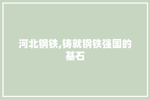 河北钢铁,铸就钢铁强国的基石