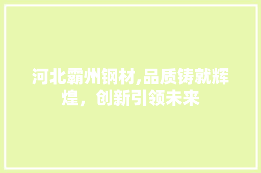河北霸州钢材,品质铸就辉煌，创新引领未来